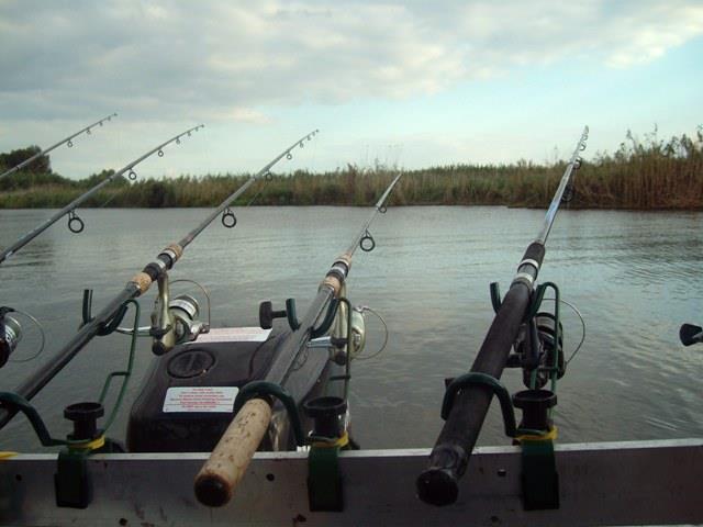 delta rosu 2010 - sany1202.JPG